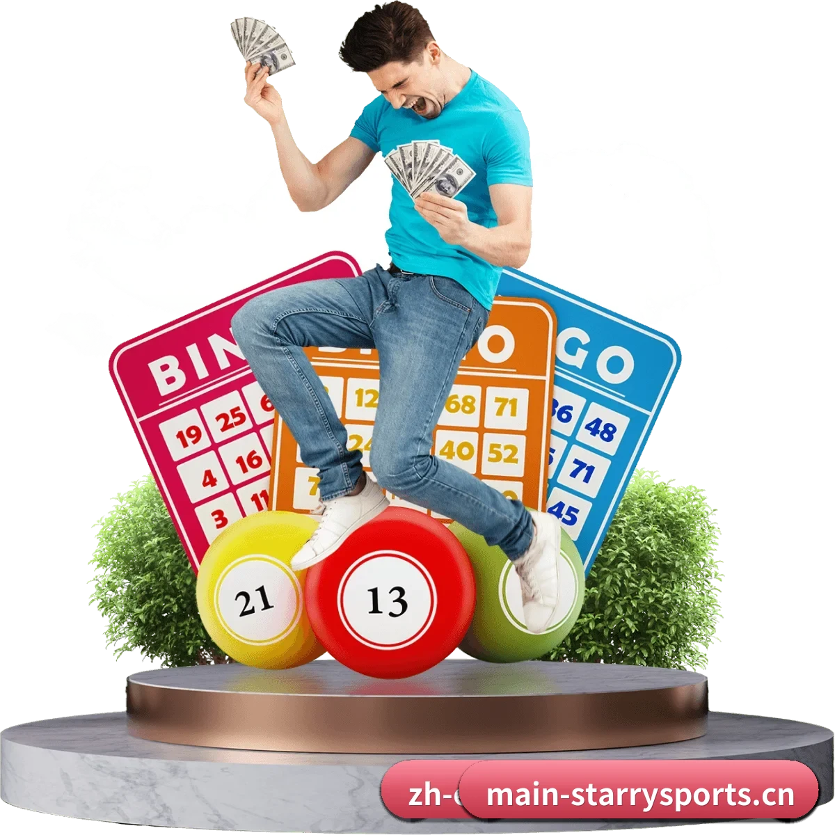 平台正式上线